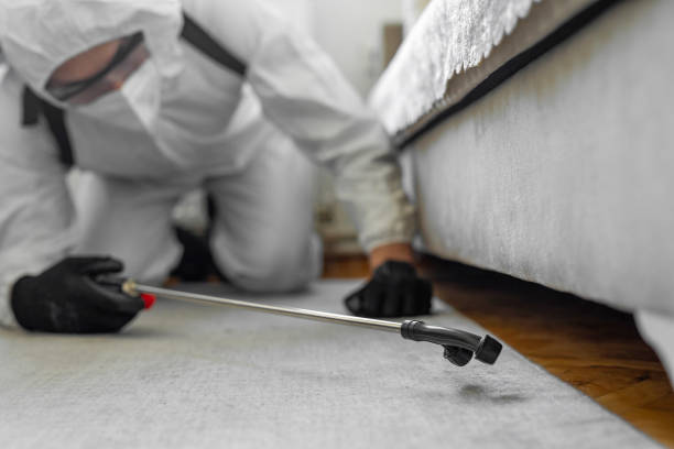 Professional Termite Control technician working in Wrens, GA