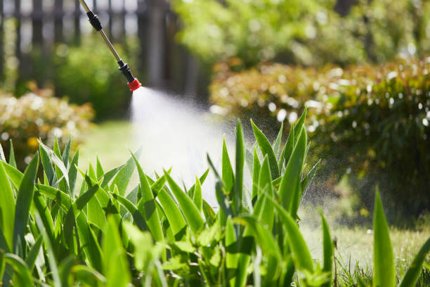 24/7 Emergency Termite Control experts in Wrens, GA