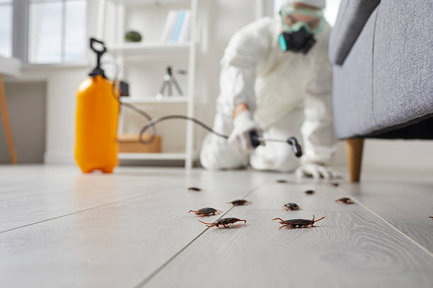 Trusted Termite Control service in Wrens, GA - Nex Pest Control