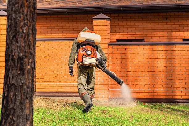 Trusted Mosquito Control service in Wrens, GA - Nex Pest Control